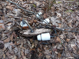 ����X�ѓS��,�ѓS,�p����,�V�q,�ʐM��