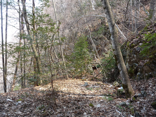 �ؑ]�X�ѓS��,�ѓS,�p����,���ꑺ,��x��