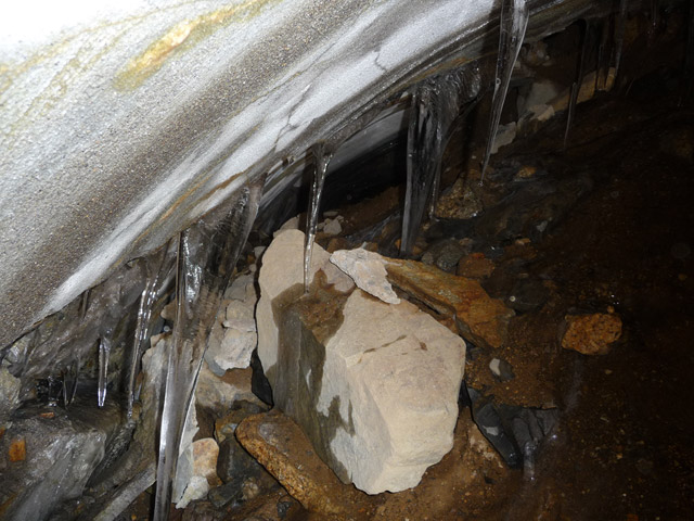 ����X�ѓS��,�ѓS,�p����,�g���l��,������詓�,�V��