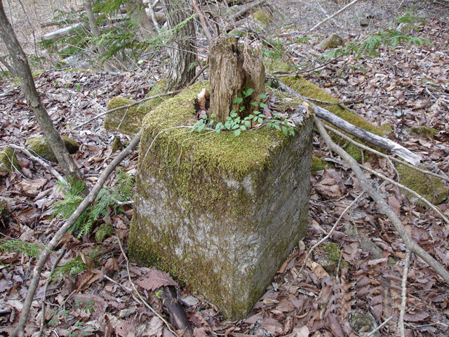 ����X�ѓS��,�厭��ԏ�,�ؑ]�ѓS