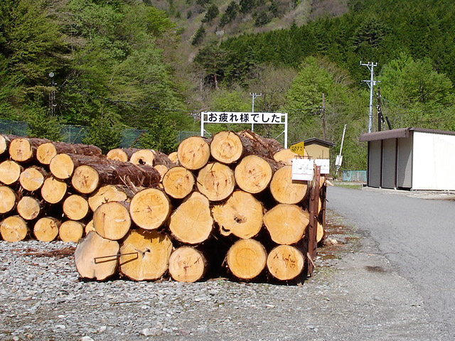 ����X�ѓS��,�厭��ԏ�,�X�����y��,�X���[�K���Ŕ�,�ѓS