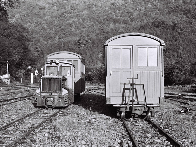 ����ѓS,�ؑ]�X�ѓS��,�厭,��ԏ�W,���[�^�[�J�[