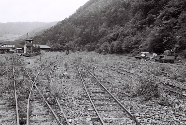 ����ѓS,�ؑ]�X�ѓS��,�厭,��ԏ�W,���[�^�[�J�[