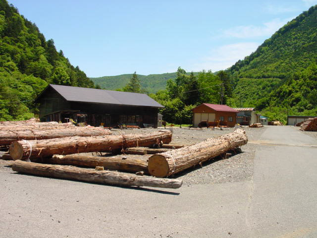 ����ѓS,�ؑ]�X�ѓS��,�厭,��ԏ�W,���[�^�[�J�[