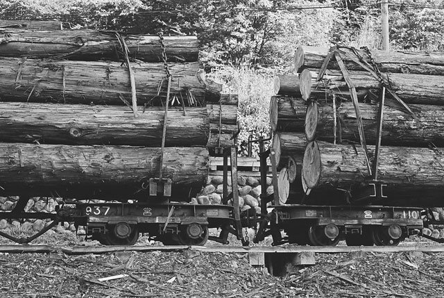 �X������ԏ�i���؏�j