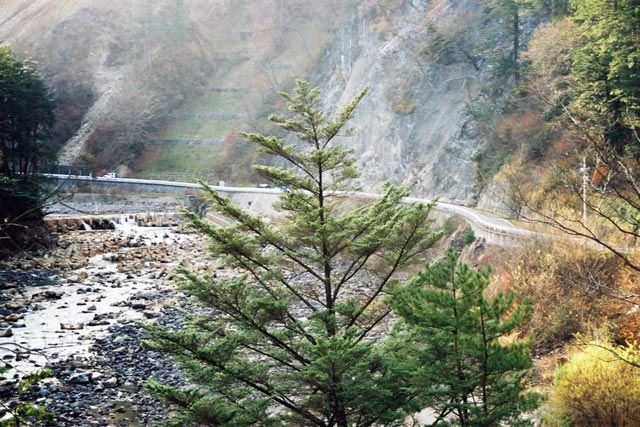 ����X�ѓS���u�X����詓��[������v