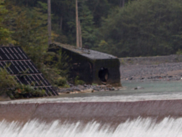 ����X�ѓS���u�X�����[������v