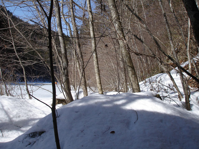 ����X�ѓS���u����詓��[������v