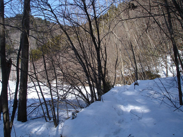 ����X�ѓS���u����詓��[������v