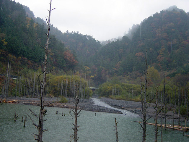 �����򋴗�