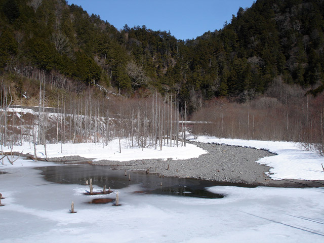 ����X�ѓS���u�����򋴗��v