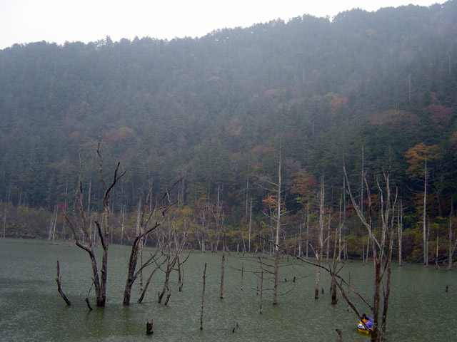 �����򋴗�