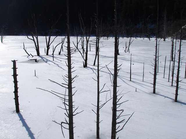 ����X�ѓS���u�����򋴗��v