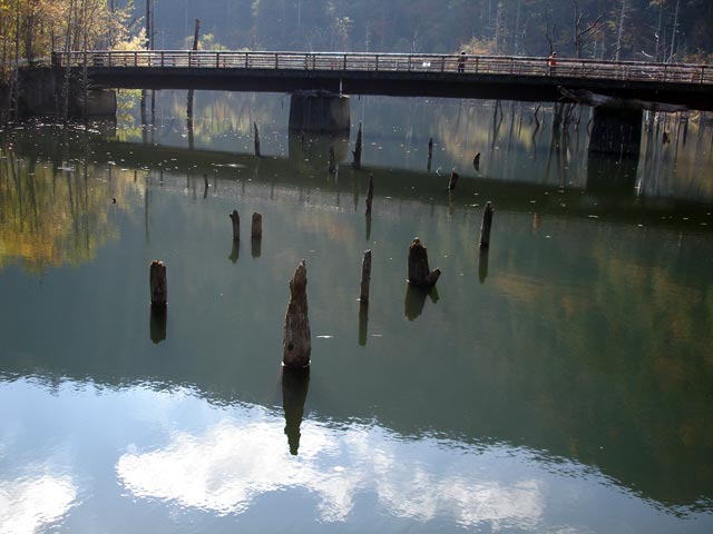 �����򋴗�