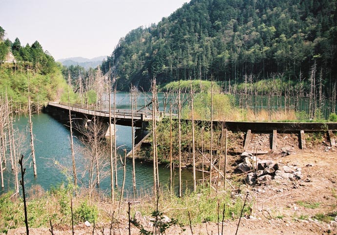 �����򋴗�