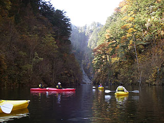 �����i���R�΃J�k�[�c�A�[�j