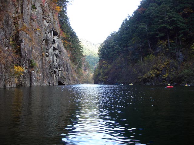 �����i���R�΃J�k�[�c�A�[�j