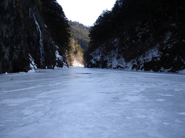 �����i���R�΃J�k�[�c�A�[�j