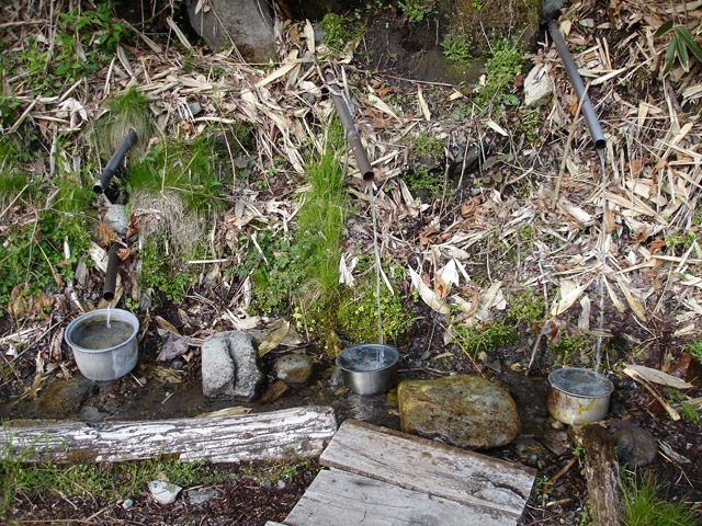 ����X�ѓS��,�ѓS,�p����,����g���l��,�ΘI�̐�