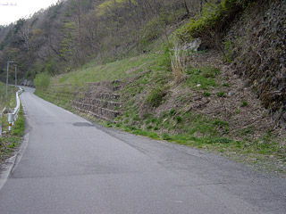 ����X�ѓS��,�ѓS,�p����,�ؑ]�X,���b�N�V�F�b�h��