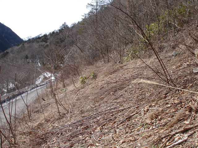 ����X�ѓS��,�ѓS,�p����,�ؑ]�X,���b�N�V�F�b�h��