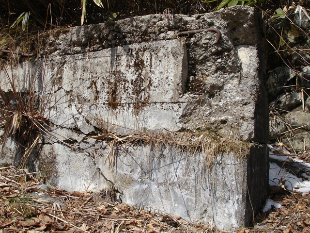 ����X�ѓS��,�ѓS,�p����,�ؑ]�X,���b�N�V�F�b�h��