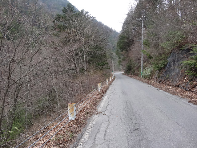 ����X�ѓS��,�ѓS,�p����,�ؑ]�X,�O����