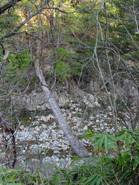 ����X�ѓS��,�ѓS,�p����,�ؑ]�X,�����,�p�݂苴