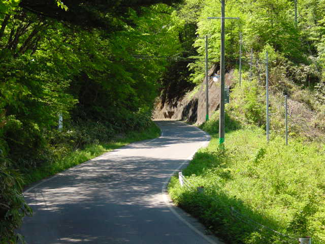 �ؑ]�X�ѓS�������,�ѓS,�p����,��z�W��,,���E�W��