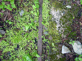 ����X�ѓS��,��z��ԏ�,�@�֌�,��܂΂ƍ�