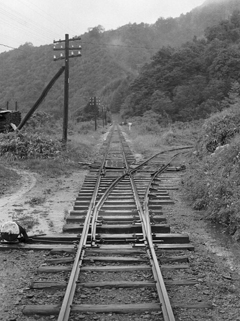 ����X�ѓS���{���u��z�[�i�M�m�򋴗��v