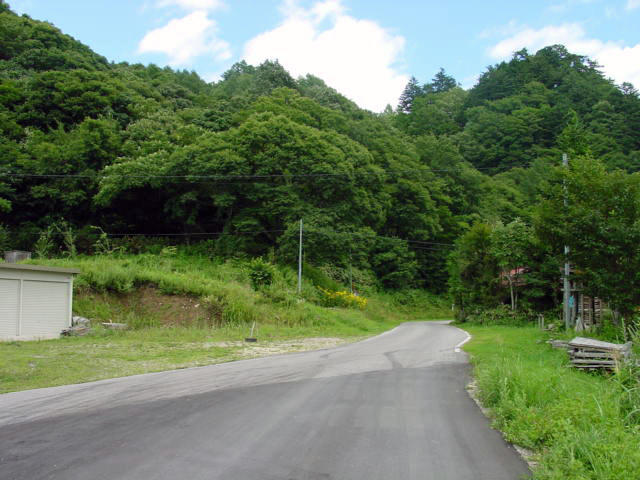 ����X�ѓS���{���u��z�[�i�M�m�򋴗��v