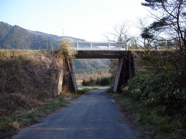 ����X�ѓS���{���u��z�����i��14�������j�v