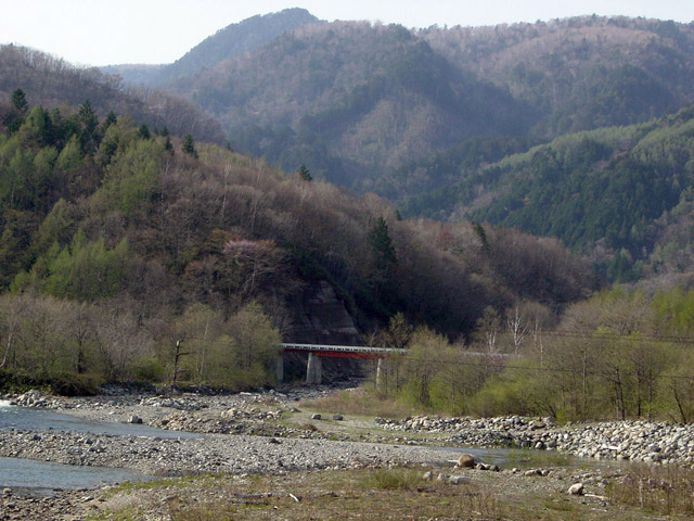 ����X�ѓS���{���u�㍕�򋴗��v