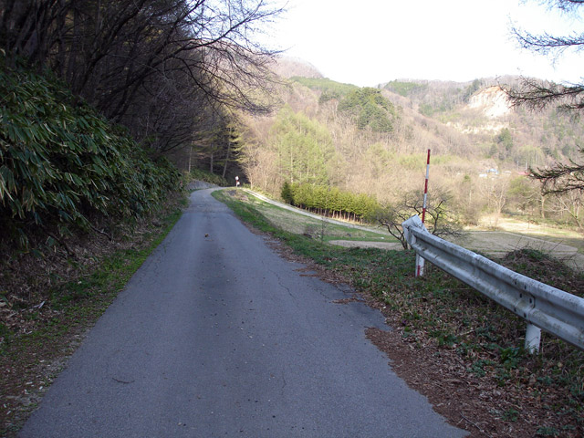 ����X�ѓS���{���u�i�M�m�򋴗��v