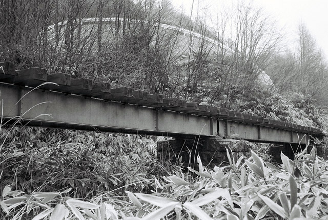 ����X�ѓS���{���u�i�M�m�򋴗��v