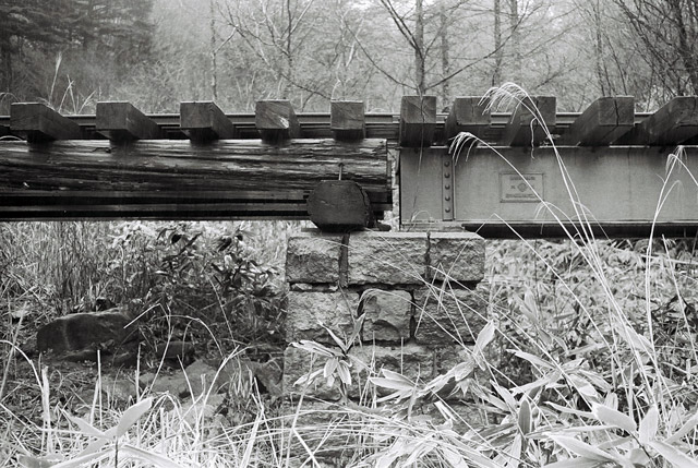 ����X�ѓS���{���u�i�M�m�򋴗��v