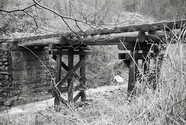 ����X�ѓS���{���u�i�M�m�򋴗��v