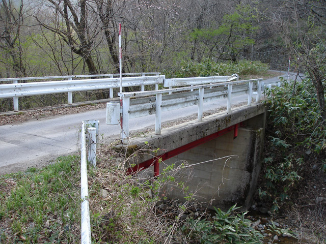 ����X�ѓS���{���u�i�M�m�򋴗��v