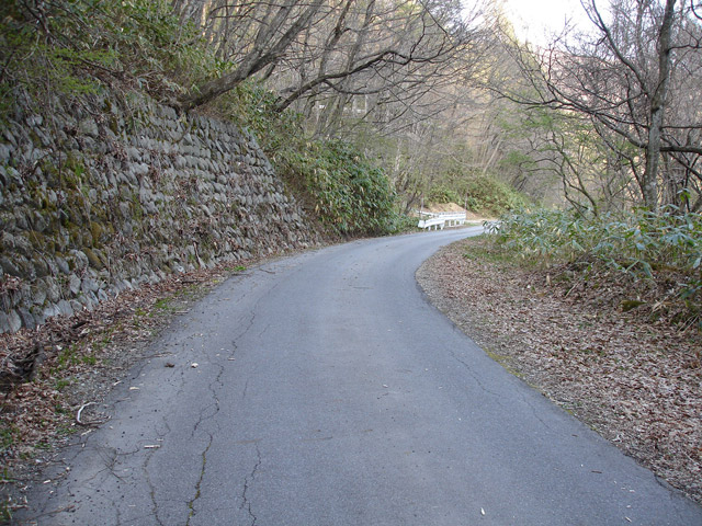 �ؑ]�X�ѓS�������,�ѓS,�֐��d�͐�p��,���������,�p����