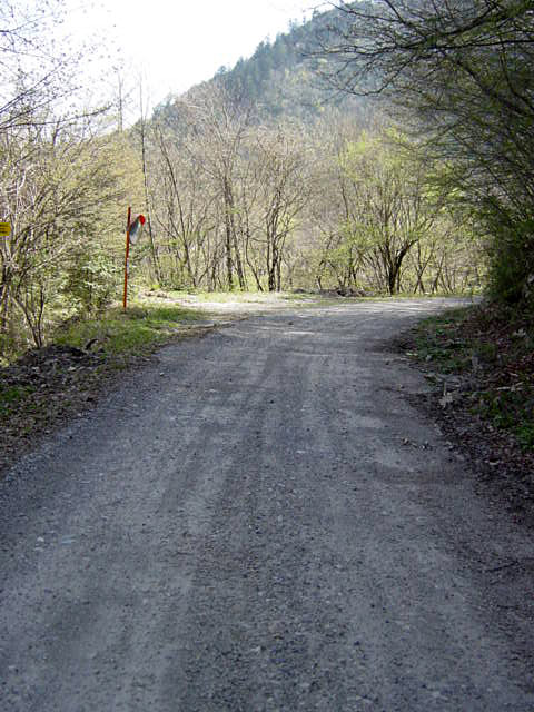 ����X�ѓS�������,�ѓS,����,��������,�㏼�^�A�c�я�,�x��