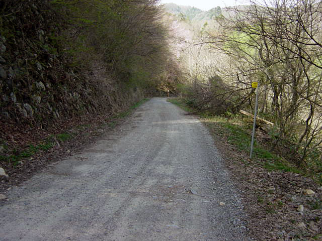 ����X�ѓS��,�ѓS,�֐��d�͐�p��,���������,�ؑ]�X,�p����