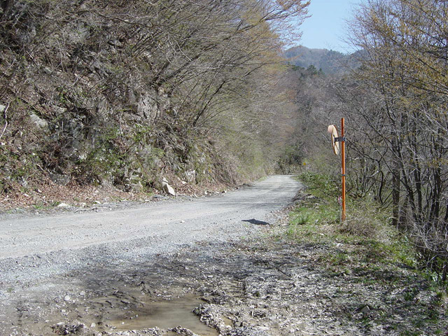 ����X�ѓS�������,�ѓS,�p����,����