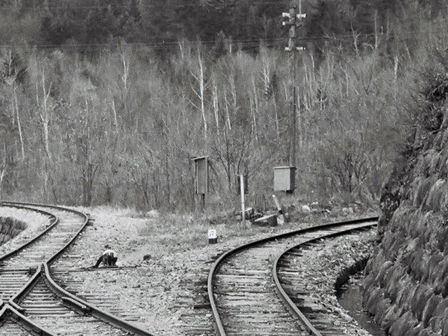 ����X�ѓS��,�ѓS,�����,�ʐM��,�Ȑ��W,�W��