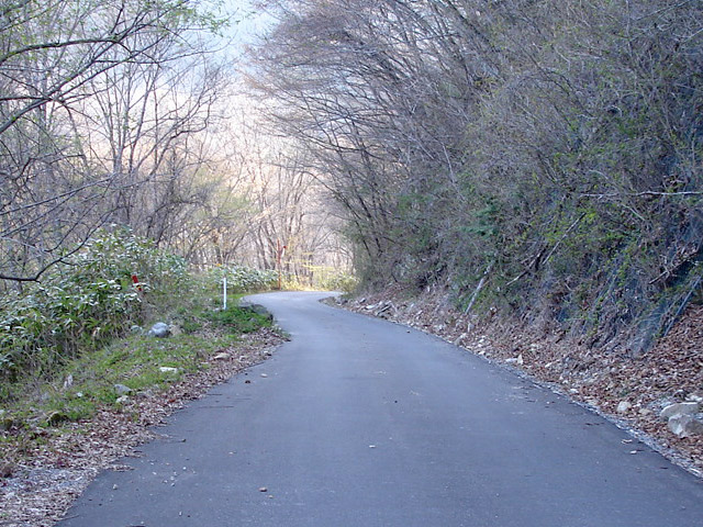 ����X�ѓS��,�ѓS,�p����,�ؑ]�X