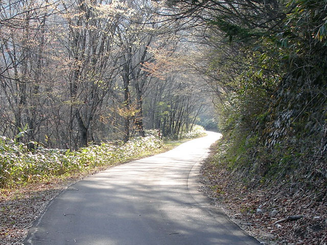 ����X�ѓS��,�ѓS,�֐��d�͐�p��,�ؑ]�X,�p����