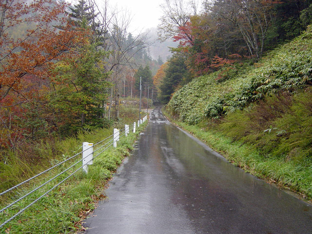 �ؑ]�X�ѓS�������,�ѓS,��z�g���l��,詓�,�O����,�p����