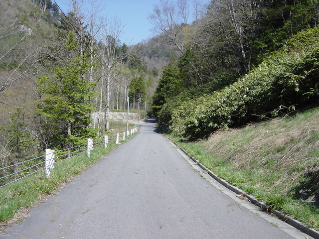 �ؑ]�X�ѓS�������,�ѓS,��z�g���l��,詓�,�O����,�p����