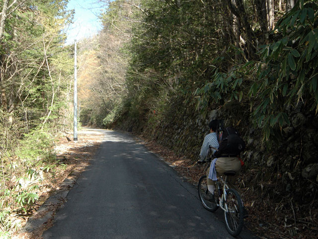 ����X�ѓS��,�ѓS,,�O����,�p����,�ؑ]�X