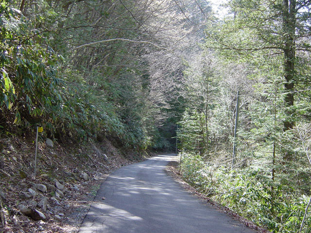 ����X�ѓS��,�ѓS,,�O����,�p����,�ؑ]�X